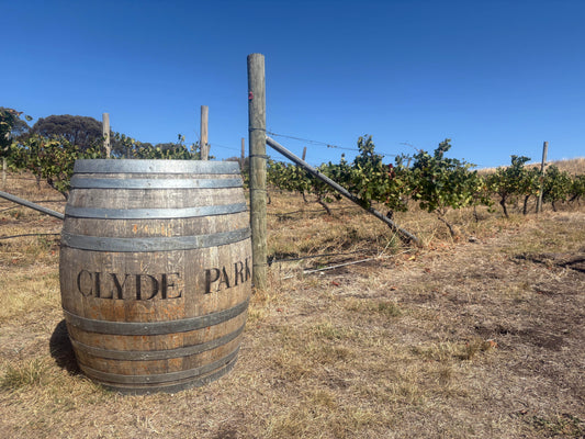 Clyde Park Wines - Fine Pinot