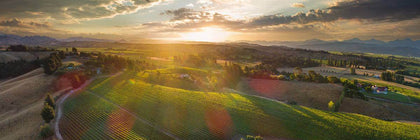 Marlborough Pinot Noir - Fine Pinot