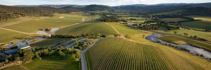 Yarra Valley Pinot Noir - Fine Pinot