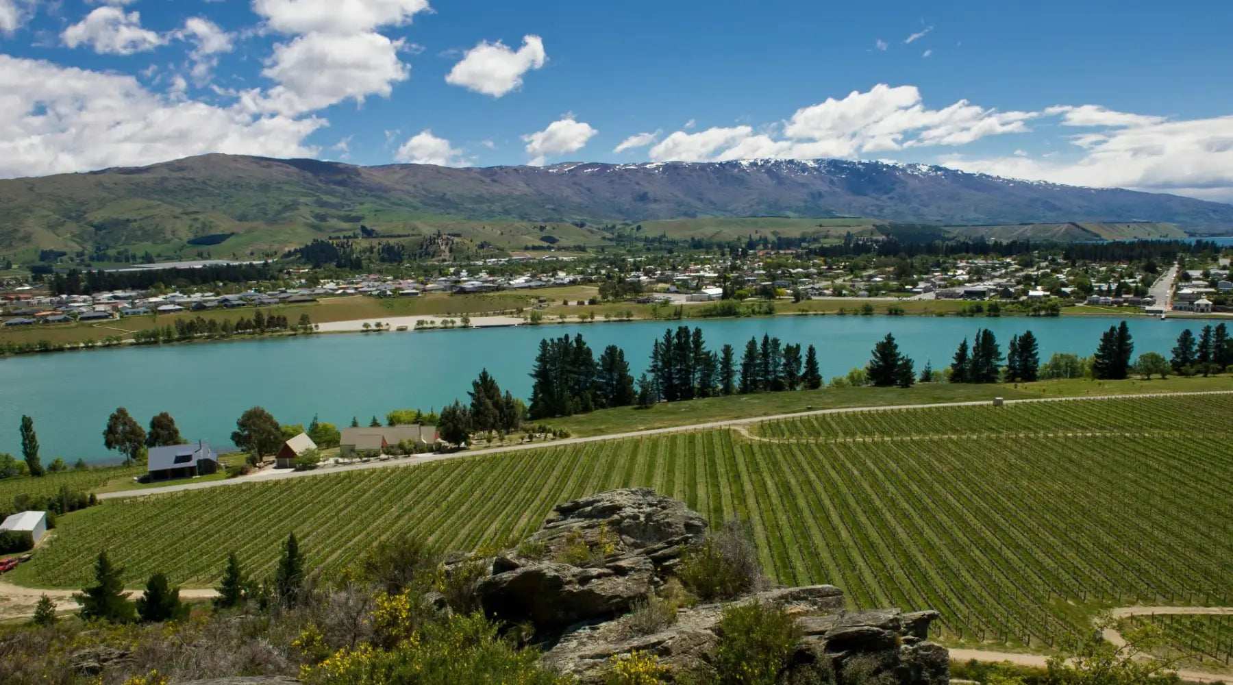 Felton Road Wines | Central Otago Pinot Noir Collection