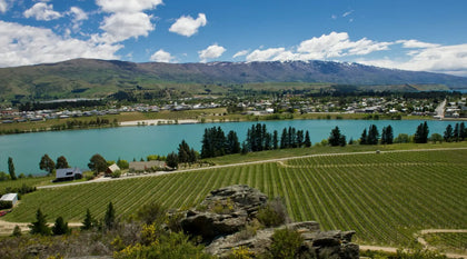Felton Road Wines | Central Otago Pinot Noir Collection