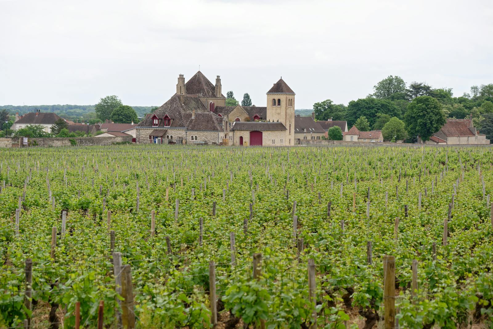 Maison Louis Jadot — Burgundy