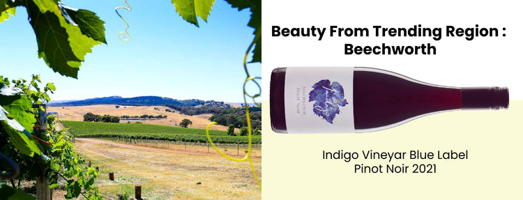 Indigo Vineyard Blue Label Pinot Noir 2021 from Beechworth