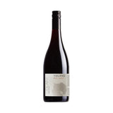 Toolangi Pinot Noir - Fine Pinot