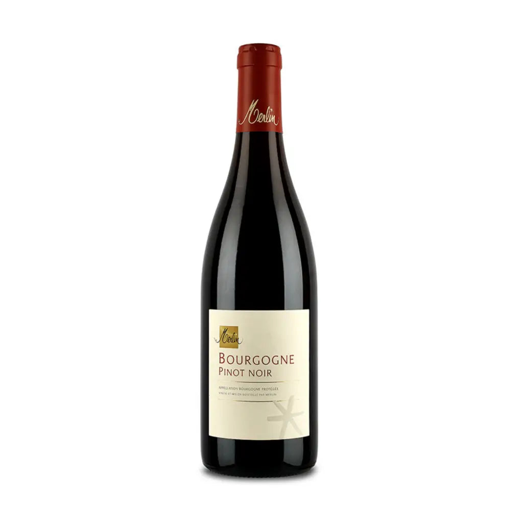 Domaine Merlin Bourgogne Rouge 2022